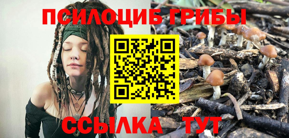 Псилоцибиновые грибы Cubensis  продажа наркотиков  Галлюциногенные грибы GOLDEN TEACHER  Отрадный  Вход с VPN 